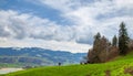 Beautiful idyllic alpine landscape with cows