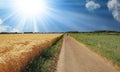 Beautiful idyllic dutch lonely endless straight bike and hiking trail between agricultural fields with morning sunshine rays - Royalty Free Stock Photo