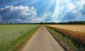 Beautiful idyllic dutch lonely endless straight bike and hiking trail between agricultural fields with morning sunshine rays - Royalty Free Stock Photo