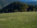 The beautiful idyllic landscape of the Bosnian-Herzegovinian meadow