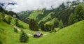 Beautiful idyllic nature green meadow landscape of Alps mountains range on summer day. Austria aerial photo Royalty Free Stock Photo