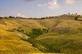 Beautiful idyllic summer landscape of Toscana, Italy with many mediterranean plants and field grasses.