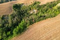 Beautiful idyllic summer landscape of Toscana with many mediterranean plants, hills, trees and fields. Sunny evening or morning