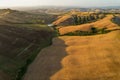 Beautiful idyllic summer landscape of Toscana with many mediterranean plants, hills, trees and fields.