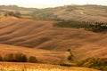 Beautiful idyllic sunny late summer landscape of Toscana with house, hills, trees and fields.