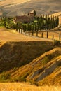 Beautiful idyllic sunny late summer landscape of Toscana with house, hills, trees and fields.