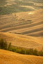 Beautiful idyllic sunny late summer landscape of Toscana with house, hills, trees and fields.