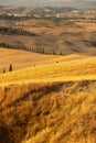 Beautiful idyllic sunny late summer landscape of Toscana with village, hills, trees and fields. Royalty Free Stock Photo