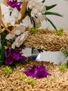 Ikebana Japanese art of flower arrangement Royalty Free Stock Photo