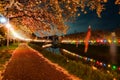 Beautiful illuminated cherry blossom trees blooming along the embankment at night in spring Royalty Free Stock Photo