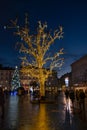 Beautiful illuminated trees at Krakow city center