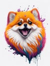 Pomeranian Dog white background Splash Art 1 Royalty Free Stock Photo