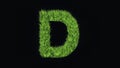 Beautiful illustration of English alphabet D with green grass effect on plain black background