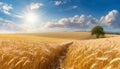 beautiful illustration of a field of ripe wheat against the blue sky