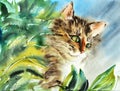 Beautiful illustration of a fluffy striped multicolor cat with yellow eyes and white mustache. Watercolor