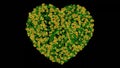 Beautiful illustration of Heart shape with yellow daisy flowers and green leaves on plain black background Royalty Free Stock Photo