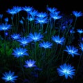 A beautiful illustration of mystic blooms with bioluminescence in night.