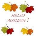 Beautiful illustration on a theme of autumn: frame of maple leaves with the word hello autumn colors in natural vision. Royalty Free Stock Photo