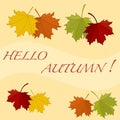 Beautiful illustration on a theme of autumn: frame of maple leaves with the word hello autumn colors in natural vision. Royalty Free Stock Photo