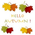 Beautiful illustration on a theme of autumn: frame of maple leav Royalty Free Stock Photo