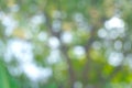 Blurred green bokeh background in the natural park. Ecology concept. Royalty Free Stock Photo