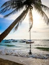 Beautiful image of bungee swinging on the palm tree bending over the ocean waves Royalty Free Stock Photo