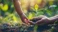 Growing Together: Hand of Children Holding Young Plant with Sunlight on Green Nature Background - Eco Earth Day Concept Royalty Free Stock Photo