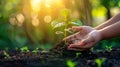 Growing Together: Hand of Children Holding Young Plant with Sunlight on Green Nature Background - Eco Earth Day Concept Royalty Free Stock Photo