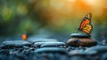 Zen Garden Butterfly Resting on Spa Stones