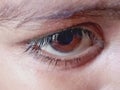 Beautiful image of a child eye image India Royalty Free Stock Photo