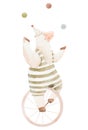 Beautiful image with cute watercolor hand drawn circus animal. Sheep juggle on unicycle. Stock illustration for birthday