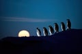 Beautiful image of emperor penguins walking ina row with the full moon in the background at night. Amazing Wildlife. Generative Ai