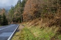 Image of a empty road with a curve between trees Royalty Free Stock Photo