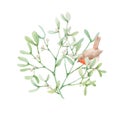 Beautiful image with watercolor mistletoe plant and robin bird. Stock illustraqtion.