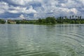 A beautiful image of landscape from the center of the river, surrounded by trees and reeds on the shore and distant horizon again