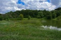 A beautiful image of landscape from the center of the river, surrounded by trees and reeds on the shore and distant horizon again