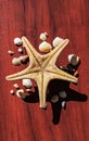 Beautiful image with a large sea star surrounded by many shells. Starfish on wood background. Elements of sea and ocean. Vacation Royalty Free Stock Photo