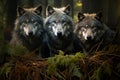 Beautiful image of a Pack of wolves in a fern forest. Amazing wildlife. Generative Ai