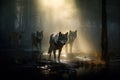 Beautiful image of a Pack of wolves going hunting at dawn. Amazing wildlife. Generative Ai