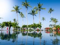 Beautiful image of palm trees reflection in hte swimming pool of tropical hotel resort Royalty Free Stock Photo