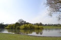 Lake and weeping willows at St Albans park Royalty Free Stock Photo