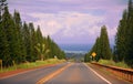 Beautiful image of road going straight through the trees to the pacific ocean