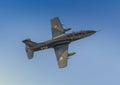 Romanian Air Force IAR 99 Soim Royalty Free Stock Photo