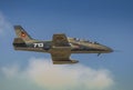 Romanian Air Force IAR 99 Soim Royalty Free Stock Photo