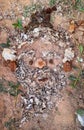 The beautiful image of Santa Claus& x27;s face is made from dry leaf moss and lumps of dirt on the ground and grass