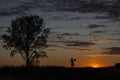 Beautiful image of a silhouette of lady standing close to a tree and reading a book