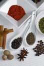 Beautiful image of various kind of spices over modern white background Royalty Free Stock Photo