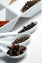 Beautiful image of various kind of spices over modern white background Royalty Free Stock Photo