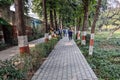 Beautiful image of walkway of rakh bagh park ludhiana punjab india on 14 february 2021