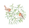 Beautiful image with watercolor mistletoe plant and robin bird. Stock illustraqtion.